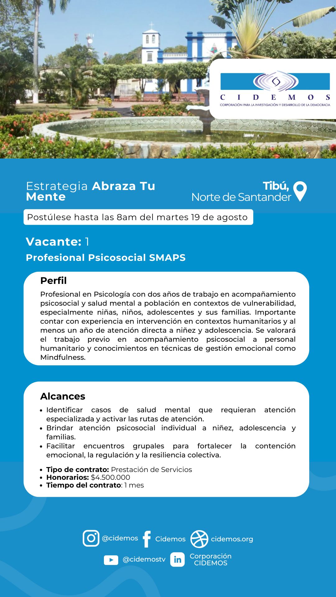 Profesional Psicosocial (cerrada)